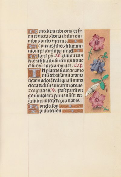 Ore di Isabella la Cattolica, Regina di Spagna: Fol. 144r da Master of the First Prayerbook of Maximillian