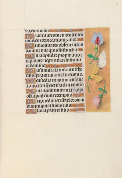 Ore di Isabella la Cattolica, Regina di Spagna: Fol. 156r da Master of the First Prayerbook of Maximillian