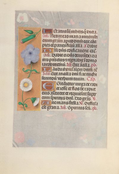 Ore della Regina Isabella la Cattolica, Regina di Spagna: Fol. 160v, c. 1500 da Master of the First Prayerbook of Maximillian