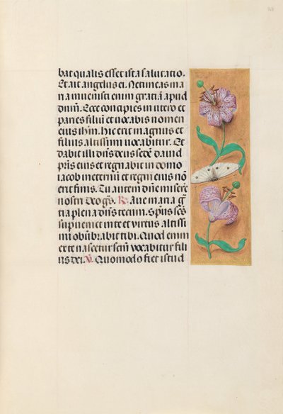 Ore di Isabella la Cattolica, regina di Spagna: Fol. 163r, c. 1500 da Master of the First Prayerbook of Maximillian