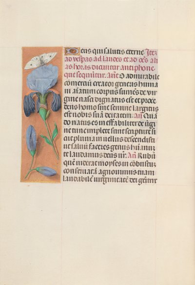 Ore di Isabella la Cattolica, Regina di Spagna: Fol. 165v da Master of the First Prayerbook of Maximillian
