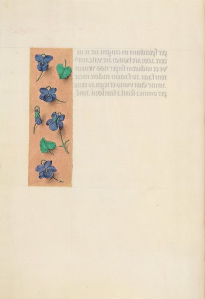Ore di Isabella la Cattolica, Regina di Spagna: Fol. 16v, Bordo Corto, c. 1500 da Master of the First Prayerbook of Maximillian