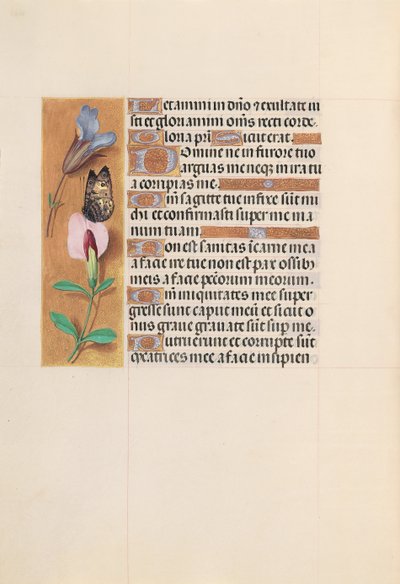 Ore di Isabella la Cattolica, Regina di Spagna: Fol. 202v, c. 1500 da Master of the First Prayerbook of Maximillian