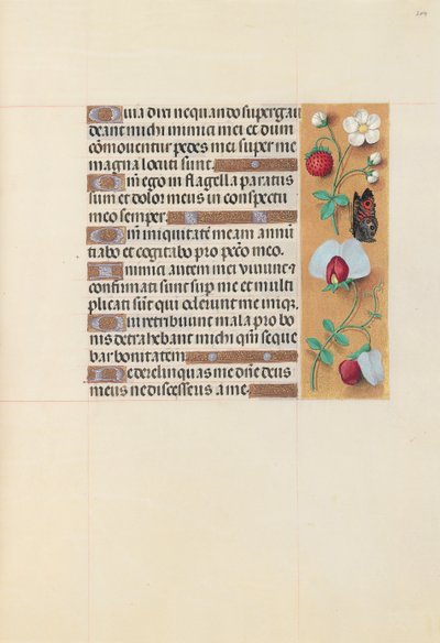 Ore di Isabella la Cattolica, regina di Spagna: Fol. 204r da Master of the First Prayerbook of Maximillian