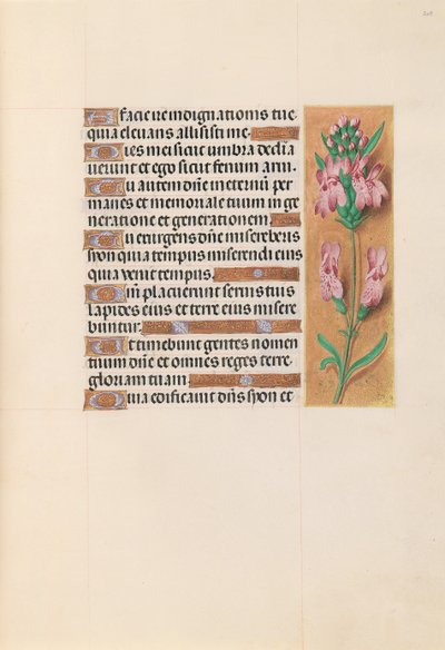 Ore di Isabella la Cattolica, Regina di Spagna: Fol. 207r, c. 1500 da Master of the First Prayerbook of Maximillian
