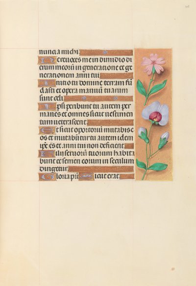 Ore di Isabella la Cattolica, regina di Spagna: Fol. 208r, c. 1500 da Master of the First Prayerbook of Maximillian