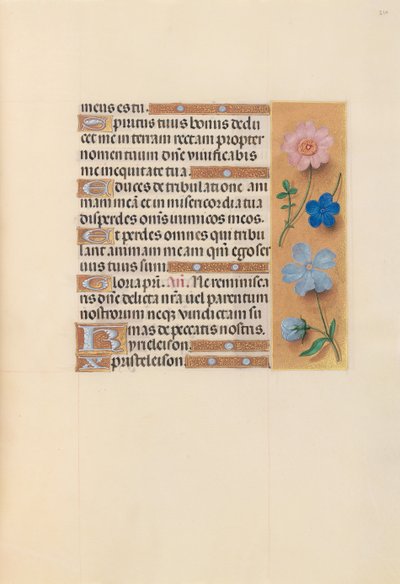 Ore di Isabella la Cattolica, Regina di Spagna: Fol. 210r, c. 1500 da Master of the First Prayerbook of Maximillian
