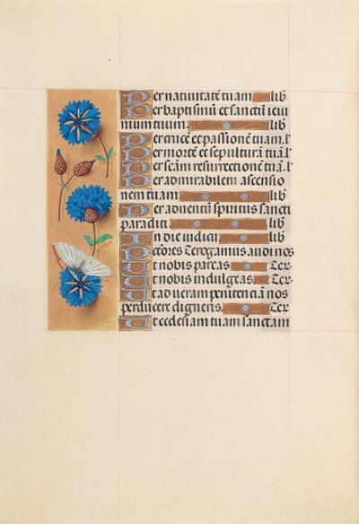 Ore di Isabella la Cattolica, Regina di Spagna: Fol. 213v, c. 1500 da Master of the First Prayerbook of Maximillian