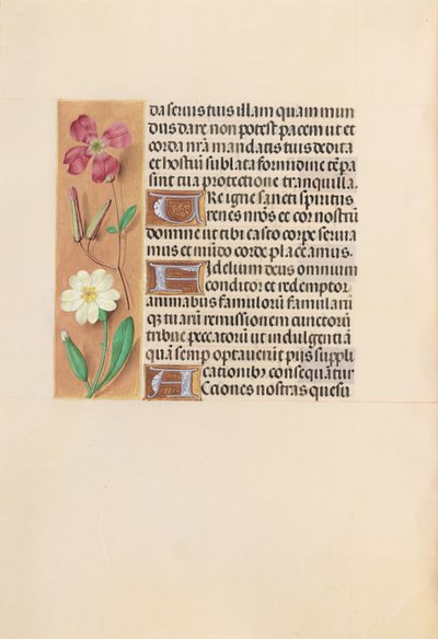 Ore di Isabella la Cattolica, regina di Spagna: Fol. 217v da Master of the First Prayerbook of Maximillian