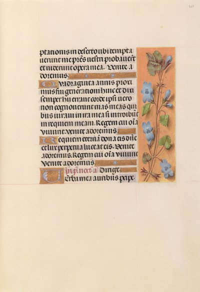 Ore della Regina Isabella la Cattolica, Regina di Spagna: Fol. 227r, c. 1500 da Master of the First Prayerbook of Maximillian