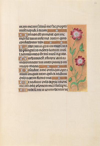 Ore di Isabella la Cattolica, regina di Spagna: Fol. 229r, c. 1500 da Master of the First Prayerbook of Maximillian