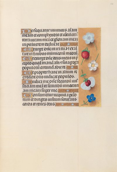 Ore di Isabella la Cattolica, Regina di Spagna: Fol. 230r, c. 1500 da Master of the First Prayerbook of Maximillian