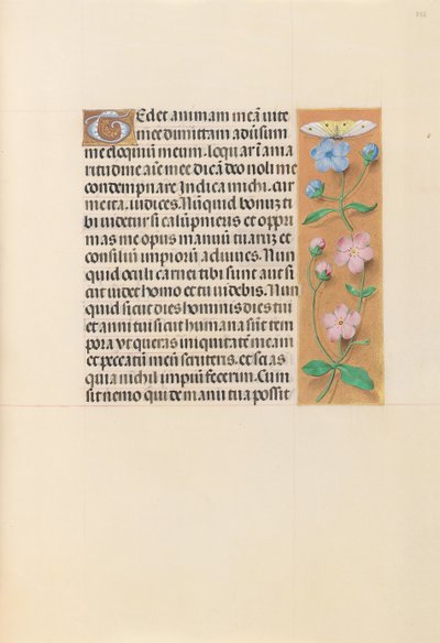 Ore di Isabella la Cattolica, regina di Spagna: Fol. 232r da Master of the First Prayerbook of Maximillian