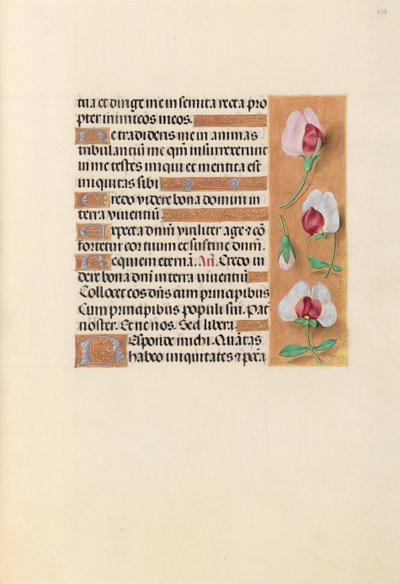 Ore di Isabella la Cattolica, Regina di Spagna: Fol. 237r, c. 1500 da Master of the First Prayerbook of Maximillian