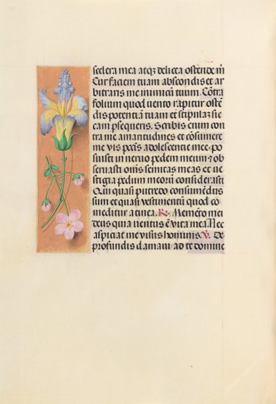 Ore di Isabella la Cattolica, regina di Spagna: Fol. 237v, c. 1500 da Master of the First Prayerbook of Maximillian
