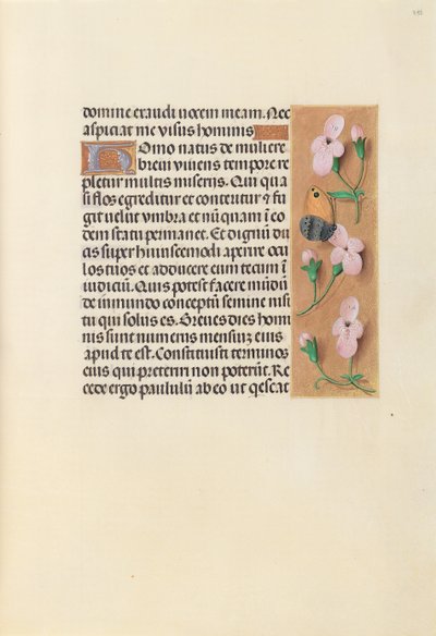 Ore di Isabella la Cattolica, Regina di Spagna: Fol. 238r da Master of the First Prayerbook of Maximillian