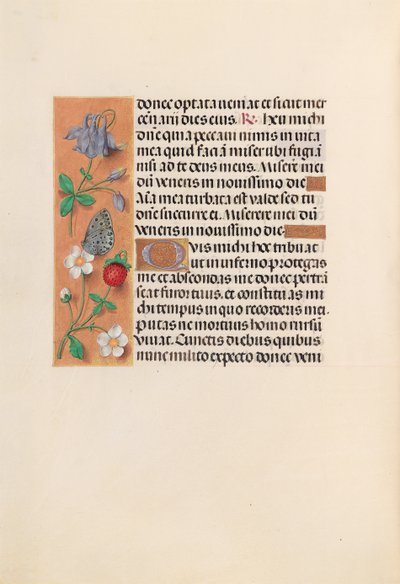 Ore di Isabella la Cattolica, Regina di Spagna: Fol. 238v, c. 1500 da Master of the First Prayerbook of Maximillian