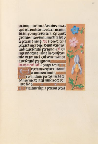 Ore di Isabella la Cattolica, Regina di Spagna: Fol. 239r, c. 1500 da Master of the First Prayerbook of Maximillian