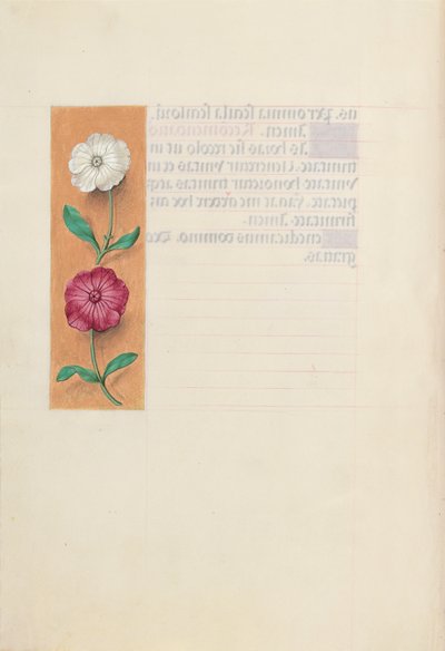 Ore di Isabella la Cattolica, regina di Spagna: Fol. 23v, c. 1500 da Master of the First Prayerbook of Maximillian