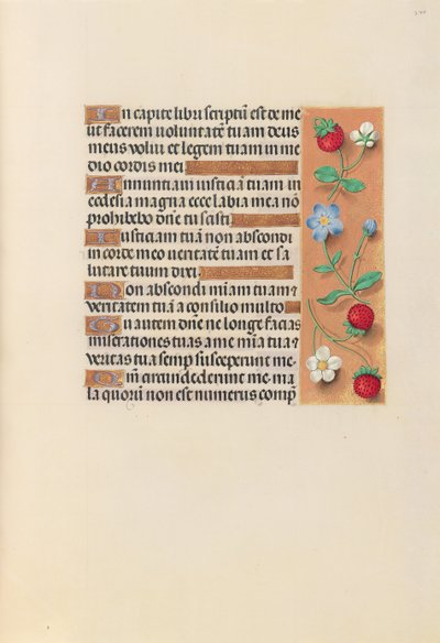 Ore di Isabella la Cattolica, regina di Spagna: Fol. 240r da Master of the First Prayerbook of Maximillian
