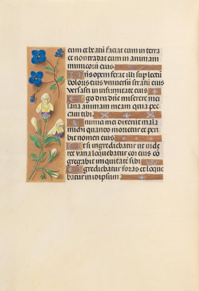 Ore di Isabella la Cattolica, regina di Spagna: Fol. 241v da Master of the First Prayerbook of Maximillian