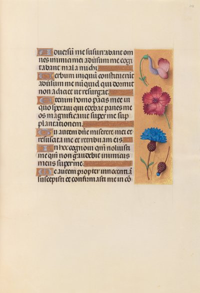Ore di Isabella la Cattolica, regina di Spagna: Fol. 242r da Master of the First Prayerbook of Maximillian