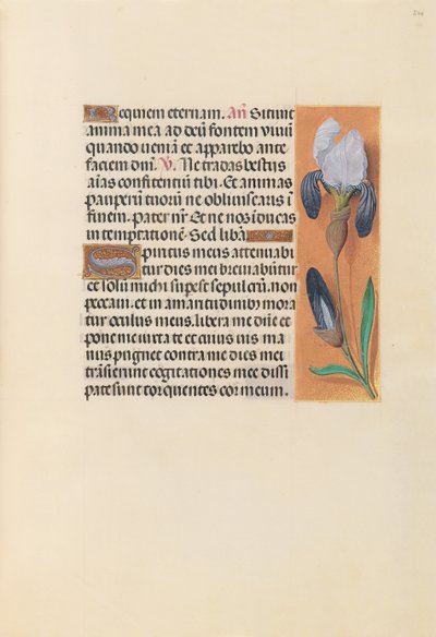 Ore della regina Isabella la Cattolica, regina di Spagna: Fol. 244r, c. 1500 da Master of the First Prayerbook of Maximillian