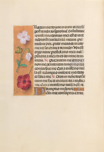 Ore della regina Isabella la Cattolica, regina di Spagna: Fol. 244v, c. 1500 da Master of the First Prayerbook of Maximillian