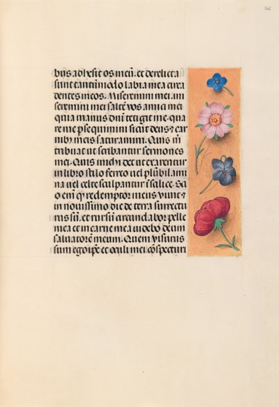 Ore della regina Isabella la Cattolica, regina di Spagna: Fol. 245r, c. 1500 da Master of the First Prayerbook of Maximillian