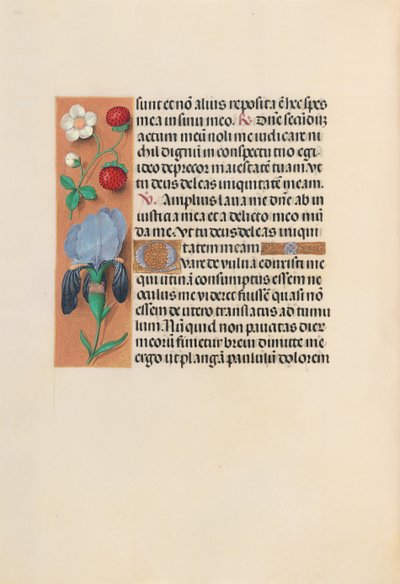 Ore di Isabella la Cattolica, Regina di Spagna: Fol. 245v, c. 1500 da Master of the First Prayerbook of Maximillian