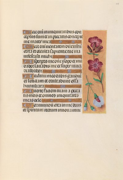 Ore di Isabella la Cattolica, Regina di Spagna: Fol. 247r da Master of the First Prayerbook of Maximillian