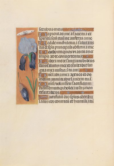 Ore di Isabella la Cattolica, Regina di Spagna: Fol. 247v, c. 1500 da Master of the First Prayerbook of Maximillian