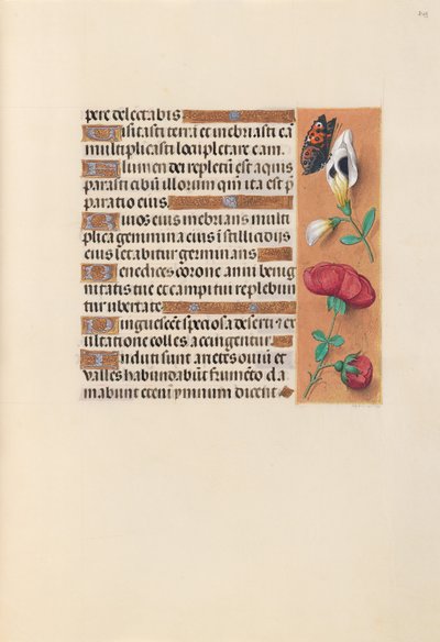 Ore della regina Isabella la Cattolica, regina di Spagna:  Fol. 249r da Master of the First Prayerbook of Maximillian