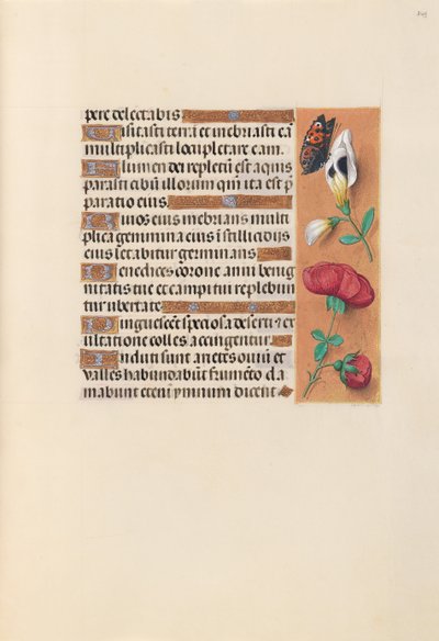 Ore di Isabella la Cattolica, Regina di Spagna: Fol. 249r, c. 1500 da Master of the First Prayerbook of Maximillian