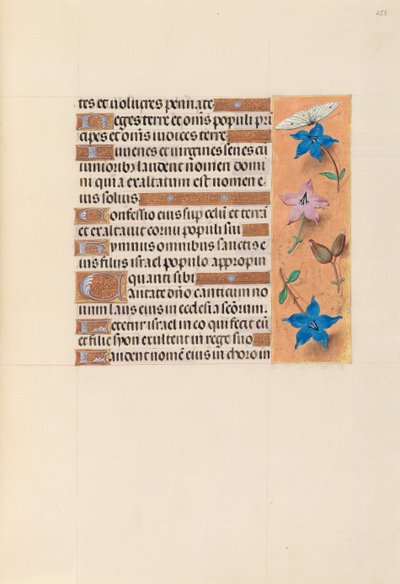 Ore di Isabella la Cattolica, regina di Spagna: Fol. 253r da Master of the First Prayerbook of Maximillian