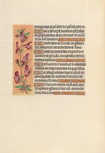 Ore di Isabella la Cattolica, Regina di Spagna: Fol. 253v da Master of the First Prayerbook of Maximillian