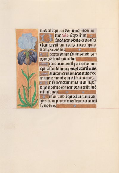 Ore della Regina Isabella la Cattolica, Regina di Spagna: Fol. 254v da Master of the First Prayerbook of Maximillian