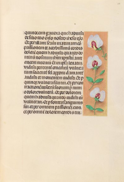 Ore di Isabella la Cattolica, Regina di Spagna: Fol. 259r, c. 1500 da Master of the First Prayerbook of Maximillian