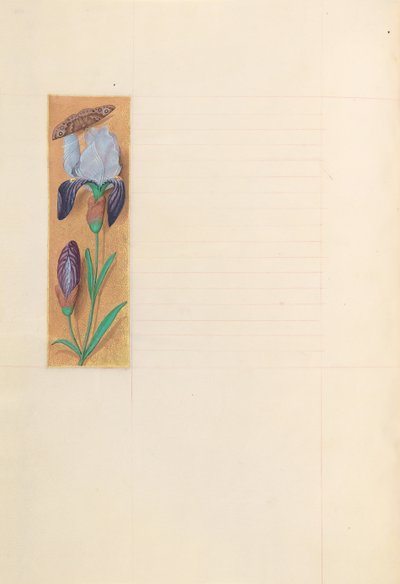 Ore di Isabella la Cattolica, regina di Spagna: Fol. 277v, c. 1500 da Master of the First Prayerbook of Maximillian