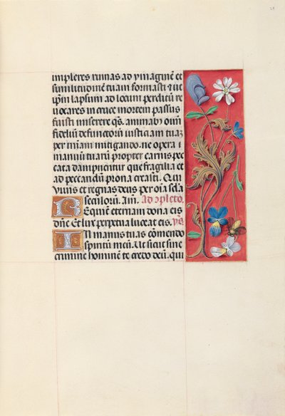Ore di Isabella la Cattolica, Regina di Spagna: Fol. 29r, c. 1500 da Master of the First Prayerbook of Maximillian