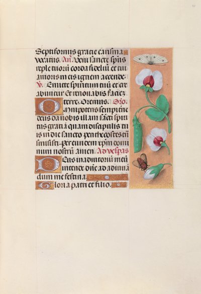 Ore della Regina Isabella la Cattolica, Regina di Spagna: Fol. 35r, c. 1500 da Master of the First Prayerbook of Maximillian