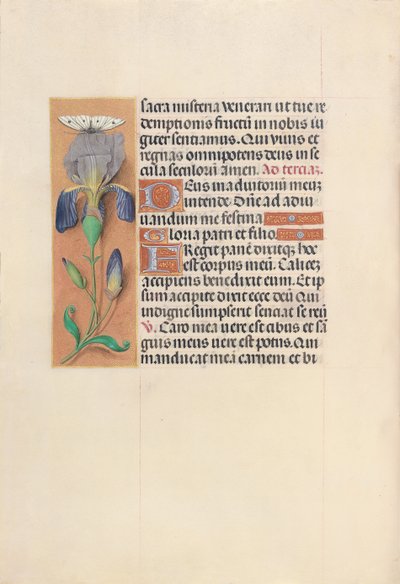 Ore della Regina Isabella la Cattolica, Regina di Spagna: Fol. 45v, c. 1500 da Master of the First Prayerbook of Maximillian