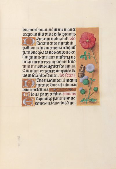 Ore della regina Isabella la Cattolica, regina di Spagna:  Fol. 46r da Master of the First Prayerbook of Maximillian