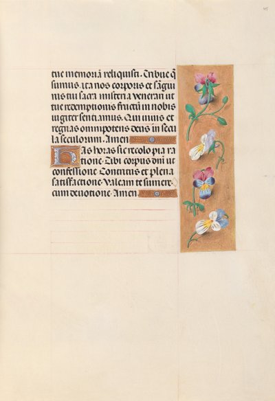 Ore della regina Isabella la Cattolica, regina di Spagna: Fol. 49r, c. 1500 da Master of the First Prayerbook of Maximillian