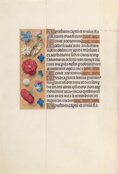 Ore di Isabella la Cattolica, regina di Spagna: Fol. 51v da Master of the First Prayerbook of Maximillian