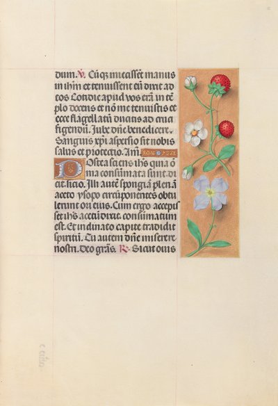 Ore di Isabella la Cattolica, Regina di Spagna: Fol. 55r, c. 1500 da Master of the First Prayerbook of Maximillian