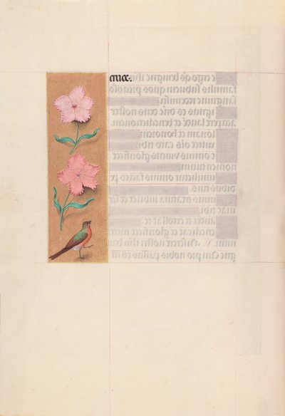 Ore della regina Isabella la Cattolica, regina di Spagna:  Fol. 56v da Master of the First Prayerbook of Maximillian