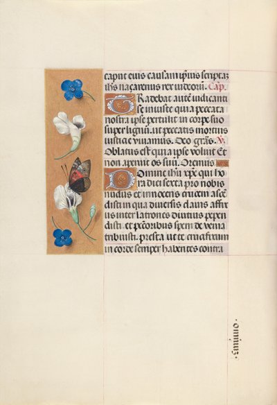 Ore della regina Isabella la Cattolica, regina di Spagna:  Fol. 67v da Master of the First Prayerbook of Maximillian