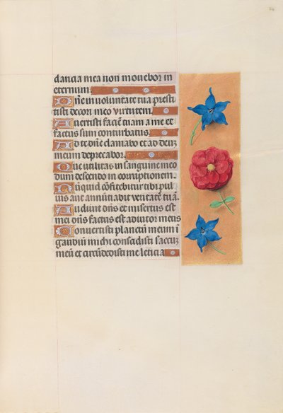 Ore della Regina Isabella la Cattolica, Regina di Spagna: Fol. 74r da Master of the First Prayerbook of Maximillian