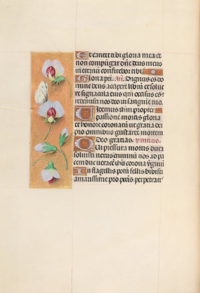 Ore della Regina Isabella la Cattolica, Regina di Spagna: Fol. 74v, c. 1500 da Master of the First Prayerbook of Maximillian